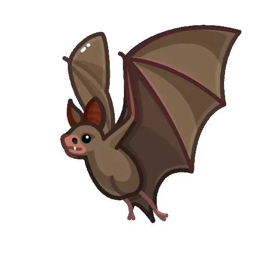 bat